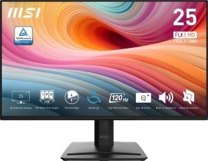 MSI 24.5 IPS PRO MP252 E2 1ms 120Hz HDMI-DP Ev Ofis Tipi Monitör 1920x1080