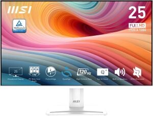 MSI 24.5 IPS PRO MP251W E2 1MS 120HZ HDMI-DP Kurumsal Monitör 1920x1080