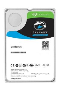 Seagate 10Tb 3.5 Skyhawk 7200Rpm 256Mb Sata 3.0 St10000Ve0008 Harddisk (Distribitör Ürünü)