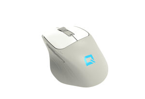 QUANTUM AERO Kablosuz + Bluetooth 4800dpi Mouse