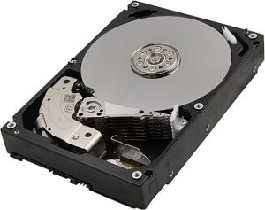 MG06ACA10TE MG 10TB 1000 GB 3.5inçSATA Dahili Sabit Disk