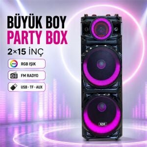 NDR NDR1526 Çift Karaoke Mikrofonlu Bluetooth Hoparlör FM Radyo 100W 2x15 İnç RGB Kumandalı Siyah