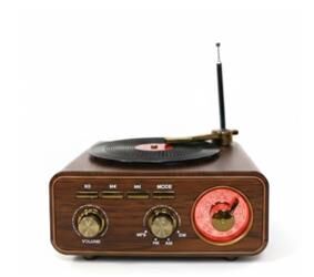 Everton RT-1317bt  Bluetooth Usb-Micro Plak Radyo