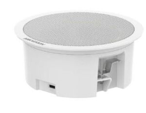 Hikvision DS-QAZ0203G1-S 3W Network Asma Tavan İkincil Hoparlörü