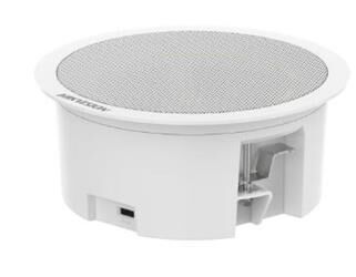 Hikvision DS-QAZ0206G1-S 6W Network Asma Tavan İkincil Hoparlörü