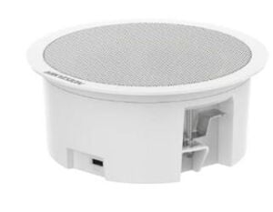 Hikvision DS-QAZ0206G1-S 6W Network Asma Tavan İkincil Hoparlörü