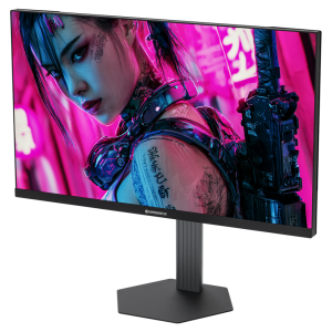 GAMEBOOSTER 24.5 FAST IPS ATLAS EF42 0.5MS 420HZ HDMI-DP Pivot Gaming Monitör 1920x1080