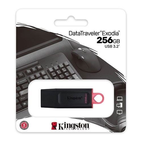 KINGSTON 256GB USB 3.2 Usb Bellek Exodia DTX/256GB