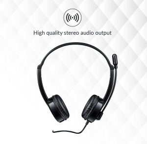 RAPOO H100 Kablolu Kulak Üstü Kulaklık - Mikrofonlu - 3.5mm - Siyah