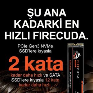 ZP1000GM3A013 1TB Firecuda530 7300-6000 Mb/s PCIe Gen4 M.2 SSD
