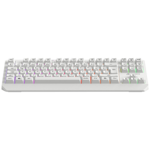 GAMEBOOSTER G75 ELYA Rainbow Aydınlatmalı Beyaz TKL Membrane Oyun Klavyesi