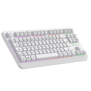 GAMEBOOSTER G75 ELYA Rainbow Aydınlatmalı Beyaz TKL Membrane Oyun Klavyesi