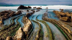 Lenovo ThinkCentre Neo 50A Gen5 i5-13420H 16GB 512GB SSD 12SCA079TR 23.8 FHD FreeDOS AIO Bilgisayar