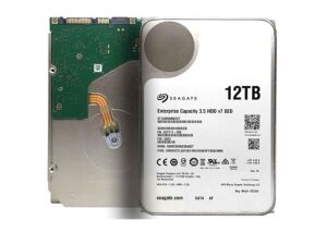 Seagate 12TB ST12000NM0127 SkyHawk 3.5 7200RPM 256MB SATA 3 7-24 Harddisk (İthalat)