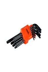Rıco 013-RC0207 Torx Uzun 9lu Uzun Alyan Takımı