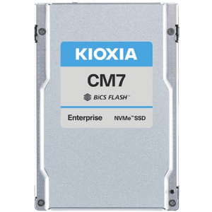 KIOXIA 3.84TB KCMYXRUG3T84 10000-4900MB/s Enterprise U3 NVME Gen5 Disk