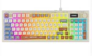 Everest KB-79 SILENT PRO Gri-Gri Mavi-Kahve SESSİZ RGB Q Membrane Oyuncu Klavyesi
