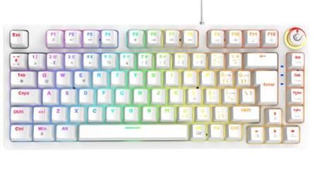 Rampage ENIGMA 75 Beyaz USB RGB Aydınlatmalı Red Switch Tam Türkçe  Gaming Mekanik Klavye