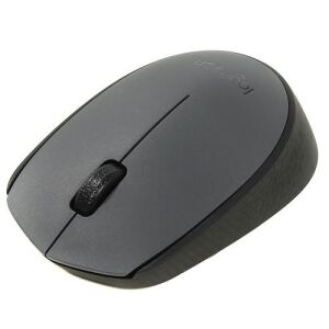 LOGITECH M170 Kablosuz Siyah Mouse (910-004642)