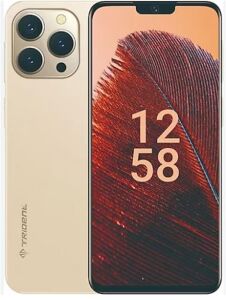 Trident A55 128GB Hafıza 6GB Ram 6,52 Gold Cep Telefonu