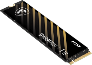 MSI 1TB SPATIUM M461 5000-4200MB/s M2 NVME GEN4 Disk
