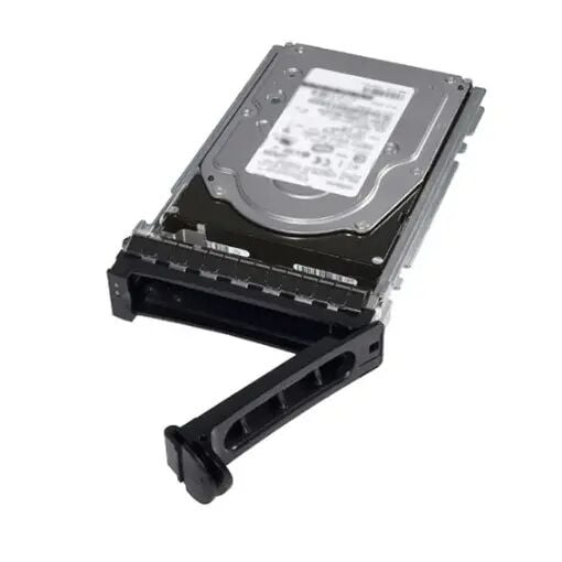 DELL 3.5 1TB 161-BBZW 7200 RPM Enterprise Sata-3 Nas ve Güvenlik Diski
